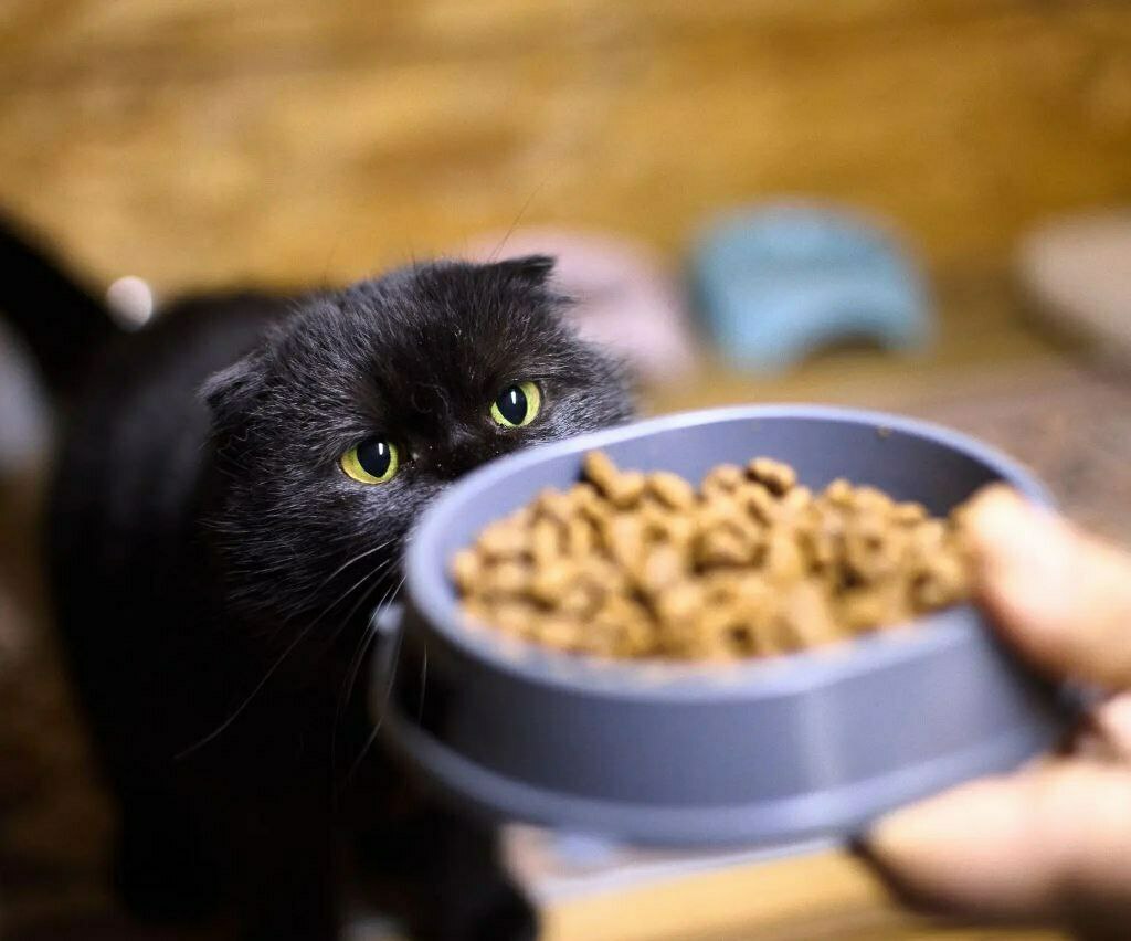 Ноябрь 2022&nbsp;